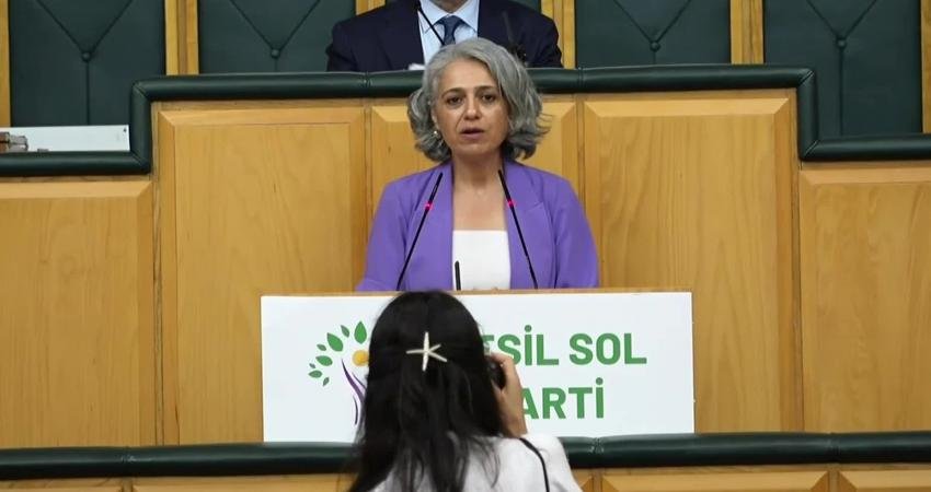 Yeşil Sol Parti Eş Sözcüsü Çiğdem Kılıçgün Uçar, TBMM’de, “Meclis
