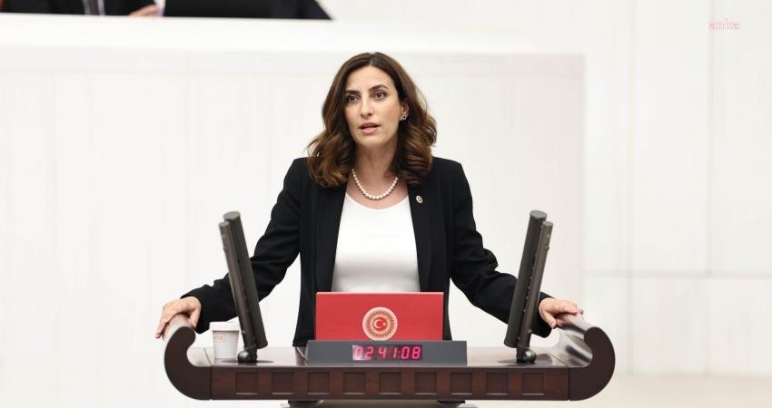 Demokrasi ve Atılım (DEVA) Partisi Çevre Politikalarından Sorumlu Genel Başkan