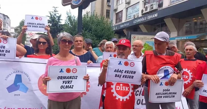 DİSK Emekli-Sen Samsun Şubesi üyeleri ve vatandaşlar, Akbelen Ormanı’ndaki ağaç