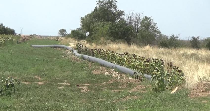 Edirne’nin Lalapaşa ilçesine bağlı Büyünlü Köy halkı, ceviz ekili alanlarının