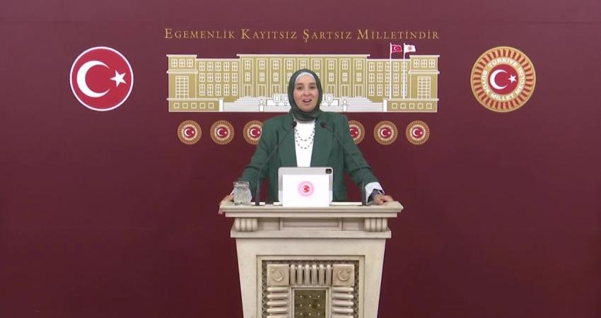Elif Esen: “17 Ağustos 1999, Ülkemiz İçin Bir Milattı. Ancak Bu Kadar Yıl Geçtikten Sonra Yaşanan Dramlar Devletin, Bir Şahıs Şirketi Gibi Yönetilmesinin Bedelini Ödetiyor” DEVA Partisi Genel Başkan Yardımcısı Elif Esen, “17 Ağustos 1999,