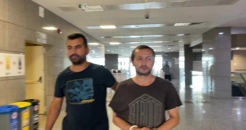 İstanbul'un Esenyurt ilçesinde, kedilere kezzap ve asit döktüğü iddiasıyla gözaltına