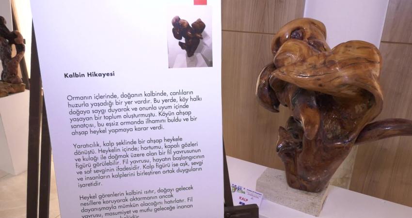 Uluslararası İstanbul Büyükçekmece Kültür ve Sanat Festivali, Fikret Doğan’ın ağaç