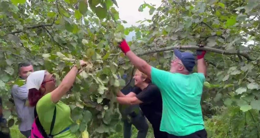 Rize'nin CHP'li Fındıklı Belediyesi, çay mecisinden sonra şimdi de öğrencilere