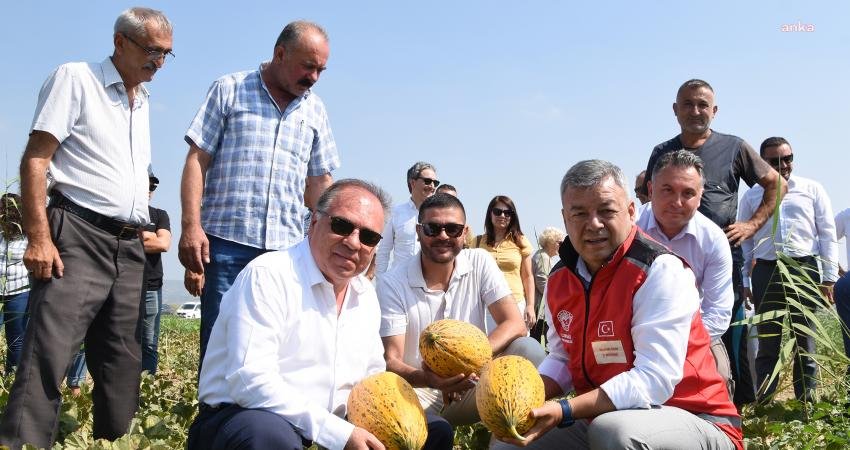 Foça Tarım ve Orman İlçe Müdürlüğü tarafından Gerenköy’de bugün Kavun