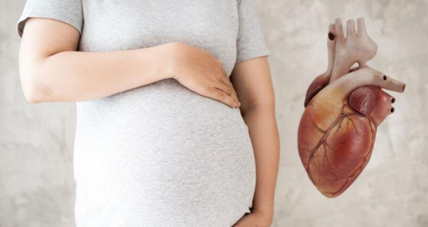 Sağlıklı bir hamilede bedende dolaşan kan ölçüsü bebeğin metabolik muhtaçlıklarını