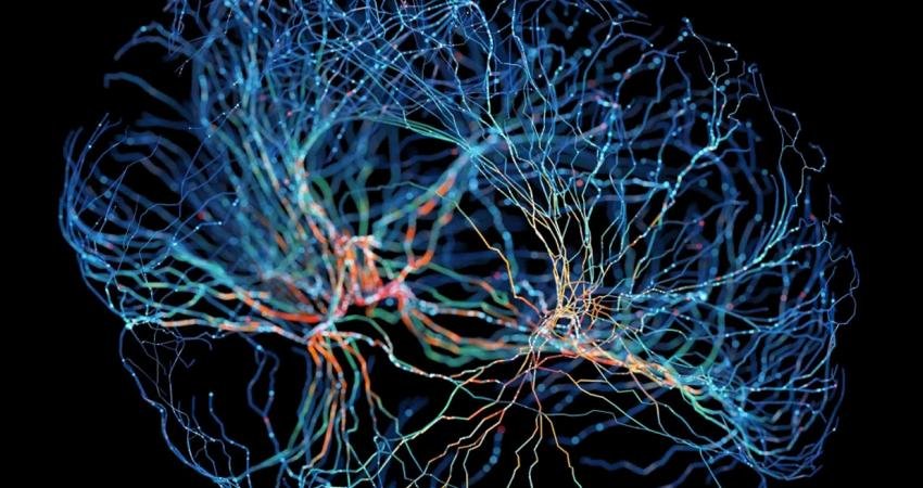 Yapay zekanın yeni mucizesi: Google, yapay zekanın da yardımıyla beyin