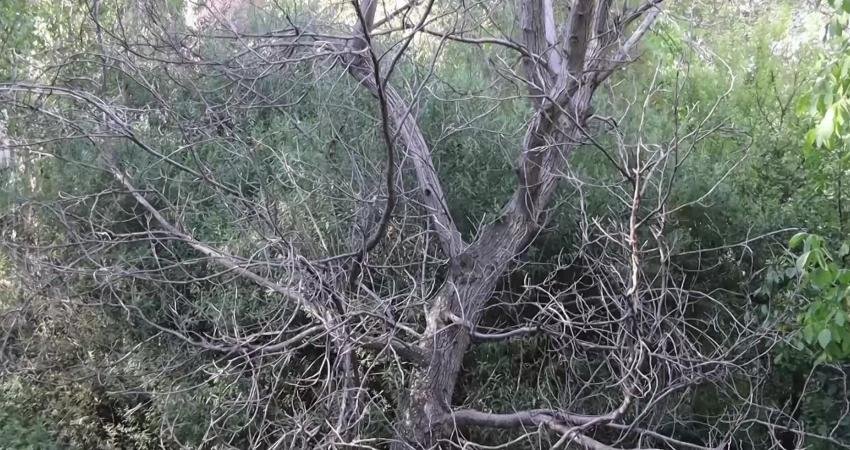 Iğdır’ın Tuzluca ilçesine bağlı köylerde Ünlendi Barajı'nda çalışmaların yarım kalmasına