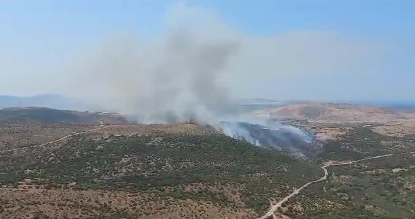 İzmir'in Aliağa ilçesinde bulunan otluk ve makilik alanda yangın çıktı.