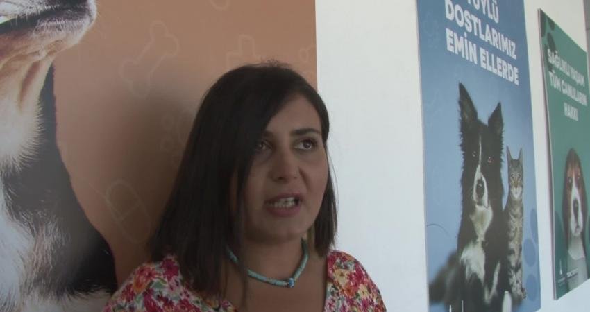 İzmirli Gençler Hatay’dan Gelen Depremzede Köpeği Sahiplendi Hatay’da enkazdan kurtarılan köpek, İzmir’de sıcak bir yuvaya kavuştu. Kevser