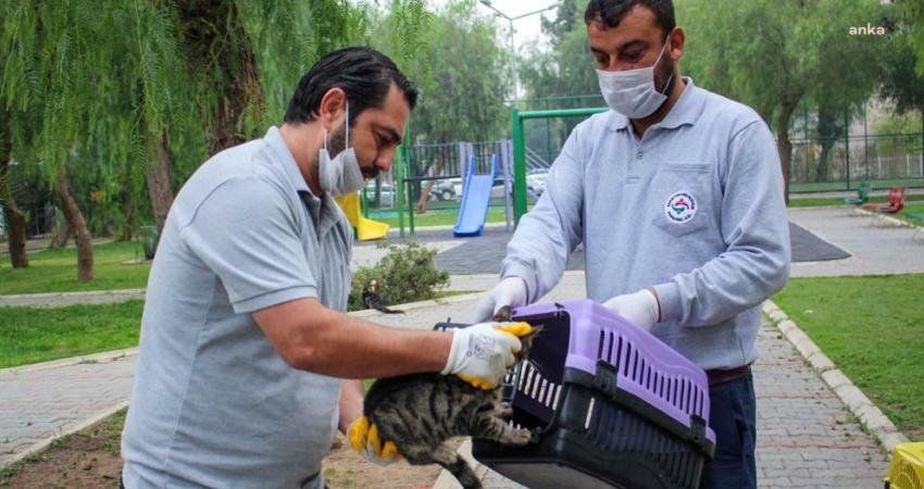 Karşıyaka Belediyesi Can Dostların Yanında Sokak hayvanlarının yaşam koşullarını iyileştirmek adına çeşitli faaliyetler yürüten Karşıyaka