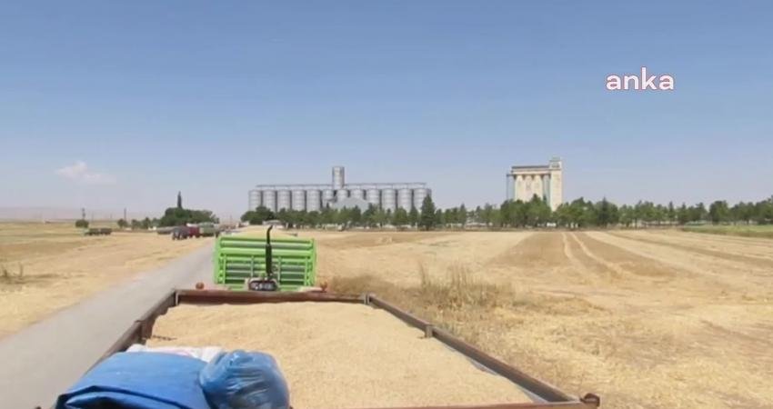 Gelecek Partisi Konya Milletvekili Hasan Ekici, Kadınhanı ilçesinde TMO ofisine