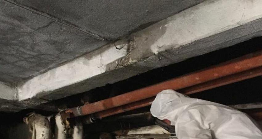 Daha sağlıklı ve temiz bir kent için çalışmalarını yoğunlaştıran Maltepe