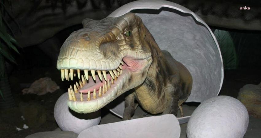 Maltepe Belediyesi’nin Prof. Türkan Saylan Kültür Merkezi’nde bulunan Dinozor Müzesi,