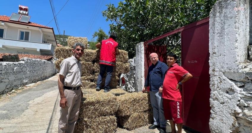 Menteşe Belediyesi; Kıran, Yeşilyurt ve Kafaca mahallelerinde hasadı yapılan karakılçık