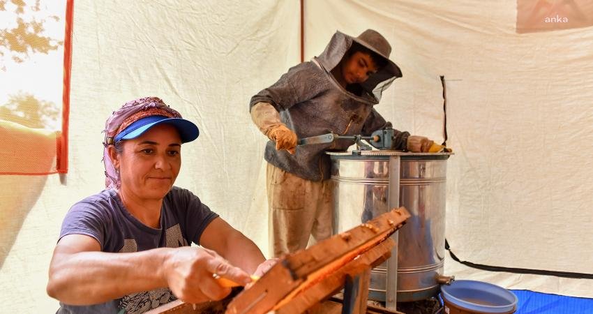 Mersin Büyükşehir Belediyesi, kırsal yerleşim yerlerinde geçim kaynağı arıcılık olan