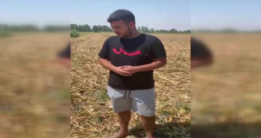 Osmaniyeli çiftçi TMO tarafından ton başına 6 bin lira olarak