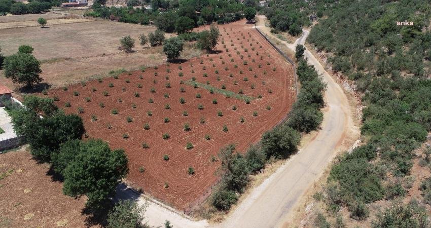 Muğla Büyükşehir Belediyesi, kentte tarımsal üretimin artması ve kentin daha