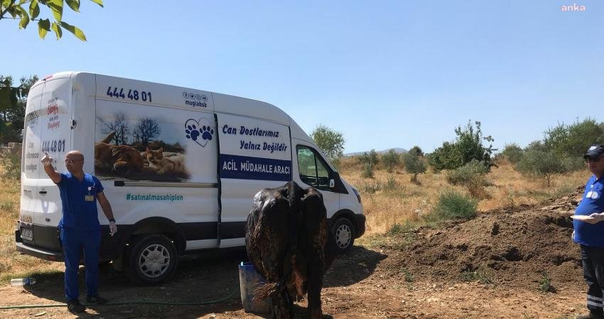 Muğla Büyükşehir Belediyesi'nin Acil Müdahale Aracı ile Menteşe’nin Algı Mahallesi’ndeki