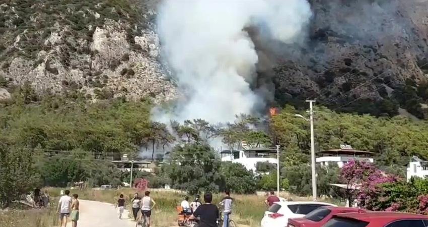 Muğla’nın Milas ilçesi Ören Mahallesi'nde ormanlık alanda yangın çıktı.