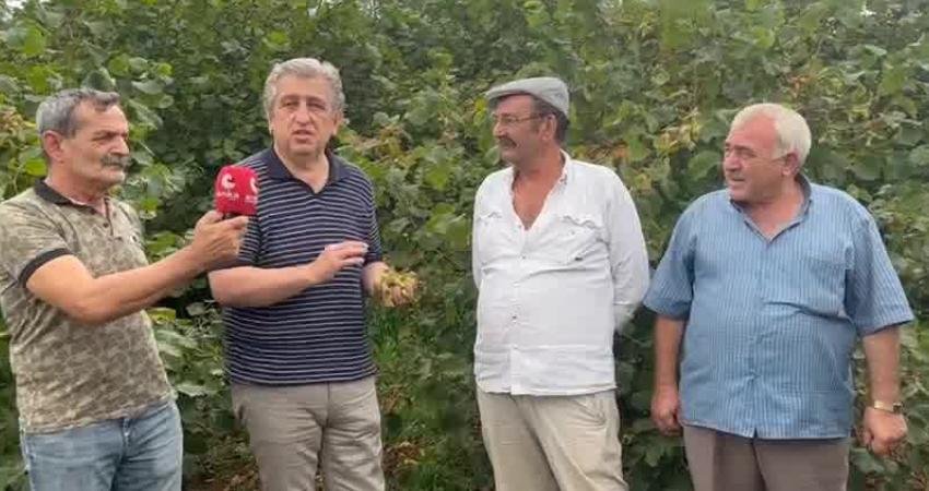 CHP Samsun Milletvekili Murat Çan, "Türkiye dünya fındık üretiminde ihracatında