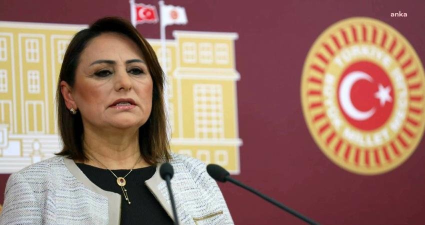 CHP Adana Milletvekili Müzeyyen Şevkin, ormanlık alanlarda ‘seyreltme’ adı altında