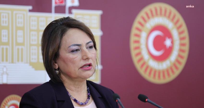 CHP Adana Milletvekili Müzeyyen Şevkin, Türkiye Emekliler Derneği'nin (TÜED) bir