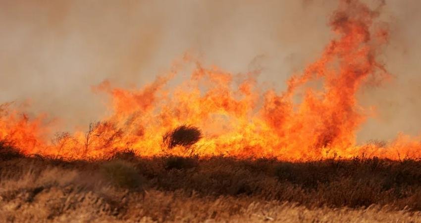 Orman Yangınlarını Yayılmaya Başlamadan Önce Tespit Eden Yapay Zeka Geliştirildi Bazıları tarafından insanlığın geleceği için bir tehlike olarak görülen yapay