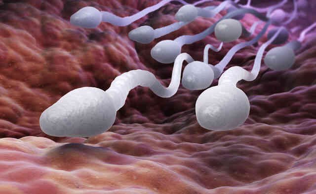 Cinsel ilişki sonrası kadınlarda gelişen sperm alerjisi;  genital bölgede yanma,