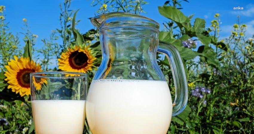 Türkiye İstatistik Kurumu (TÜİK) verilerine göre, haziran ayında içme sütü