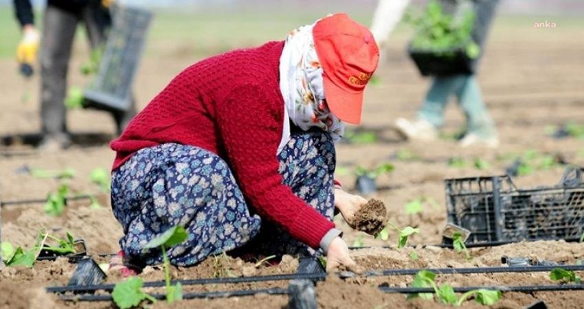 Türkiye İstatistik Kurumu (TÜİK) verilerine göre, temmuzda üretici fiyatlarındaki aylık