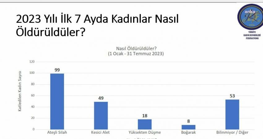 Türkiye Kadın Dernekleri Federasyonu, 2023 Temmuz Kadın Cinayetleri Raporu’nu açıkladı.
