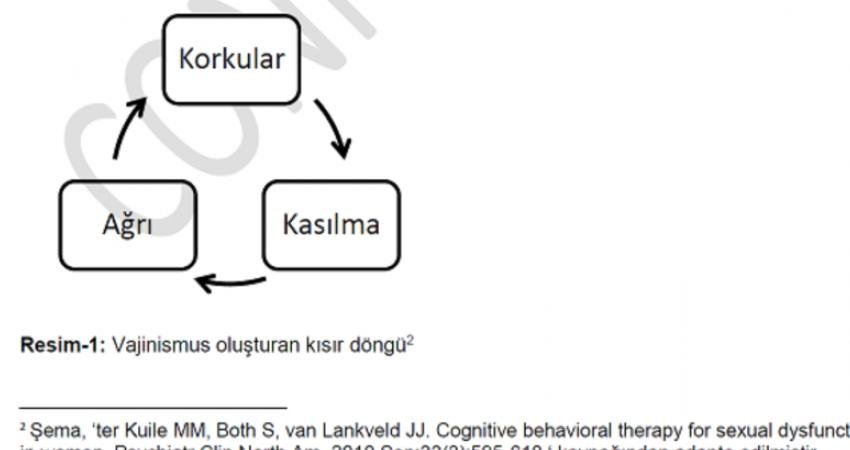 Vajinismus teşhis ve tedavisi bilimsel çerçevede net olarak belli olan