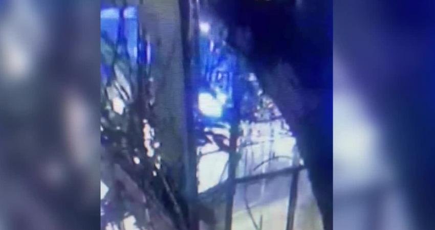 Veliefendi Hipodromu Çevresindeki Yangınlarla İlgili Gözaltına Alınan Şüpheli Tutuklandı İstanbul’da Veliefendi Hipodromu çevresindeki yangınları çıkardığı şüphesiyle gözaltına alınan S.D.