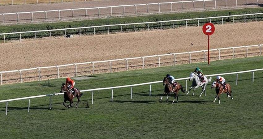 75. Yıl Hipodromu’nda düzenlenen Yenimahalle Belediye Başkanlığı Koşusu'nu Taylolo kazandı.