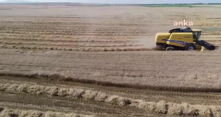 Üreticilere yapılacak 2023 yılı tarımsal desteklemelere ilişkin Cumhurbaşkanı kararı, Resmi