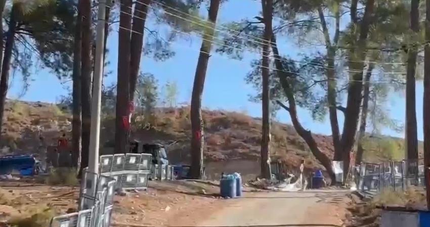 Muğla’nın Milas ilçesindeki Akbelen Ormanı’nı korumak için mücadele eden köylülerin
