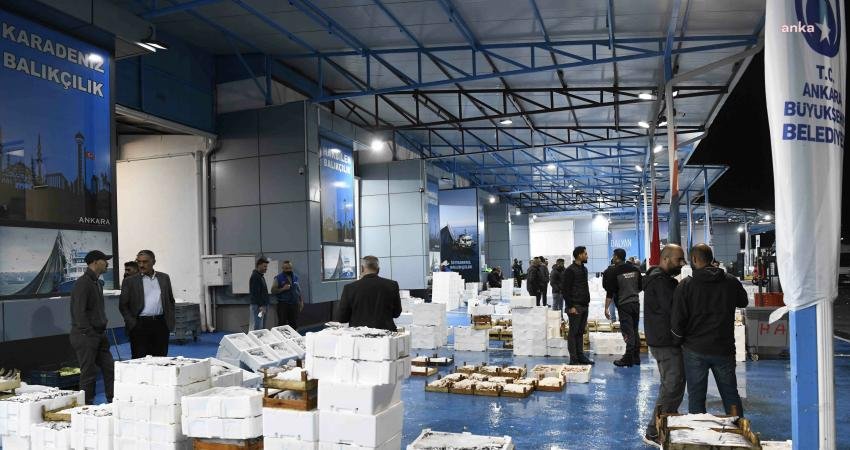 Balık sezonunun başlamasıyla birlikte Ankara Büyükşehir Belediyesi de Yenimahalle Toptancı