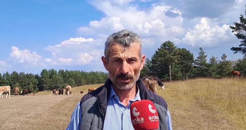 Artvin Ardanuç Yolağzı köyünde büyükbaş hayvancılığı yapan Fatih Acar, "Son