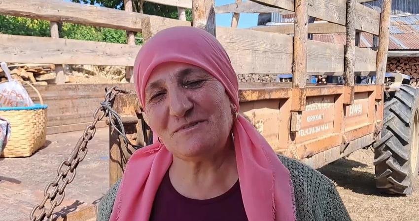 Artvin'in Ardanuç ilçesinde bulunan Yolağzı köyündeki lavanta bahçelerinde imece usulüyle