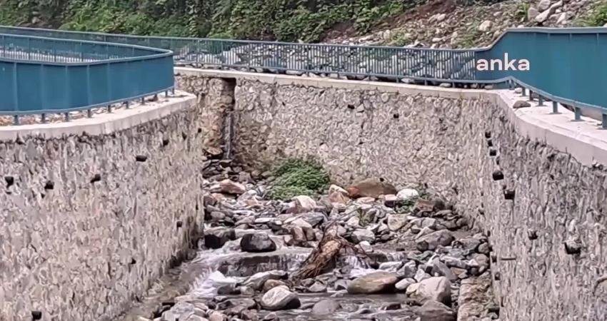 Artvin’in Arhavi ilçesinde bulunan Pilarget vadisi boyunca bölgede daha önce