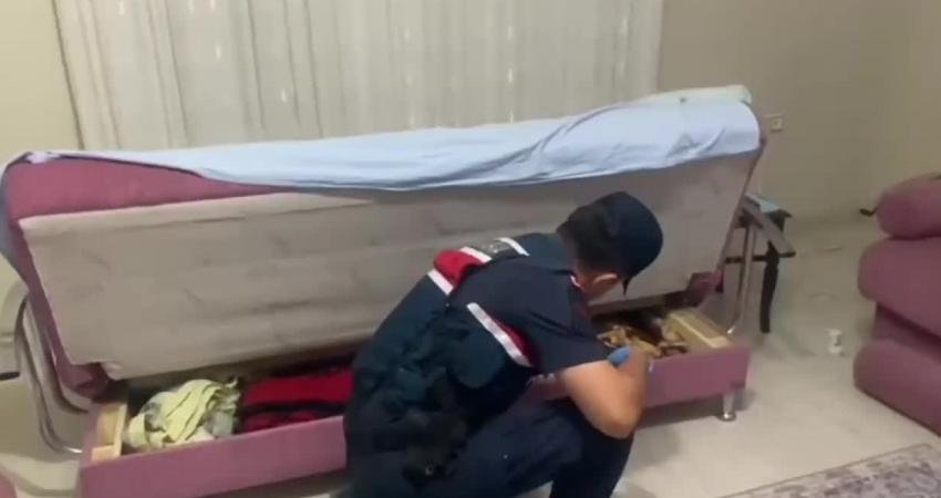 İçişleri Bakanı Ali Yerlikaya, 11 ilde düzenlenen "Transfer operasyonu" ile