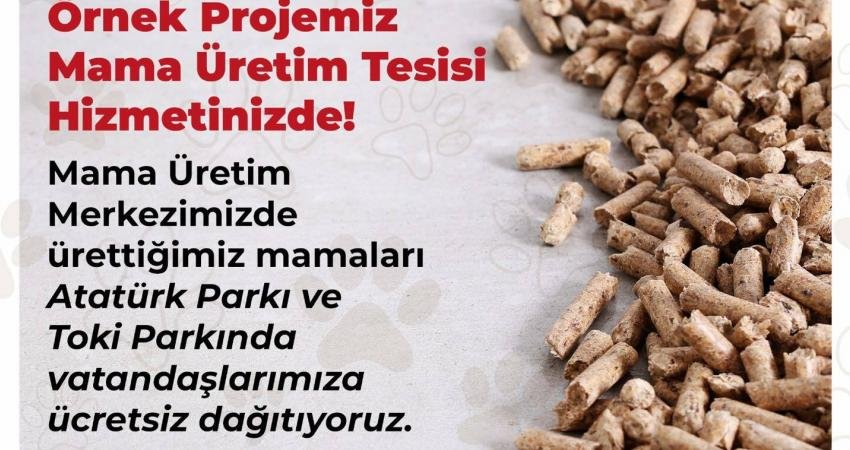 Bilecik Belediyesi tarafından başlatılan proje ile ev, lokanta ve fabrikalardan