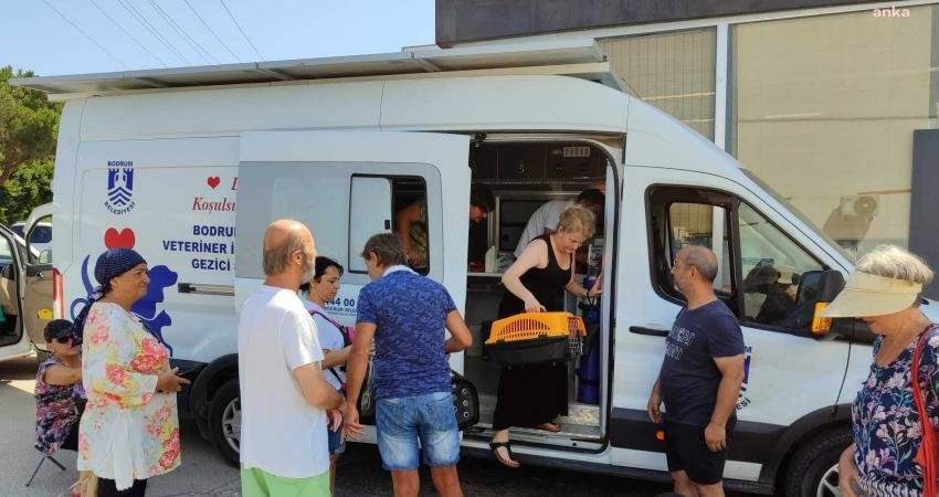 Bodrum Belediyesi tarafından sokak hayvanlarına yönelik çipleme, kuduz aşısı ve iç/dış