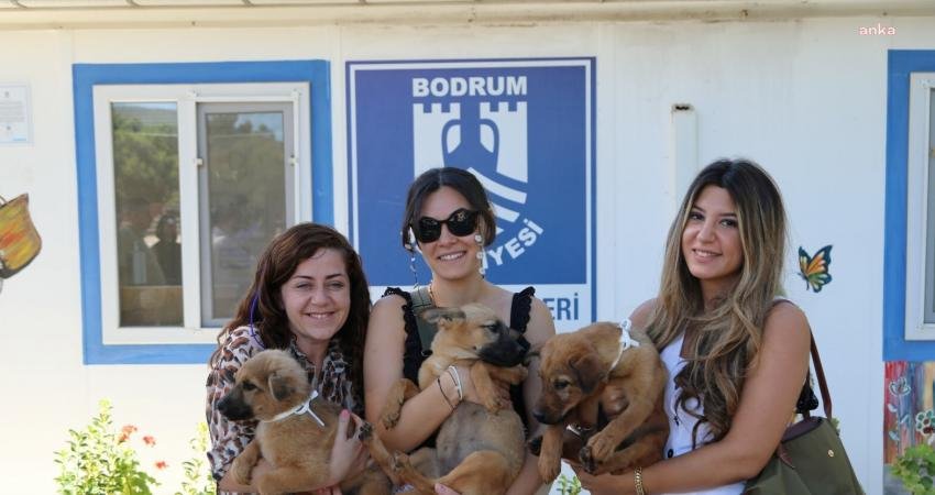 Bodrum Belediyesi Veteriner İşleri Müdürlüğü ile Kadın ve Aile Hizmetleri Müdürlüğü,