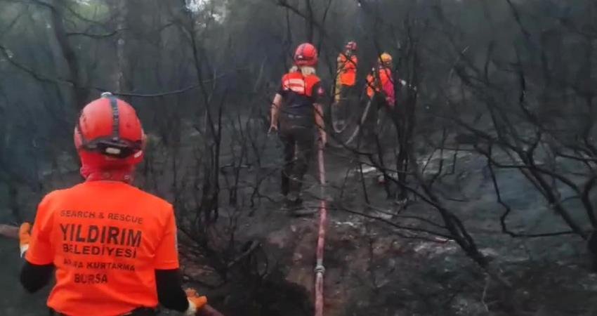 Bursa’nın Mudanya ilçesinde çıkan orman yangınını söndürmek için müdahale devam
