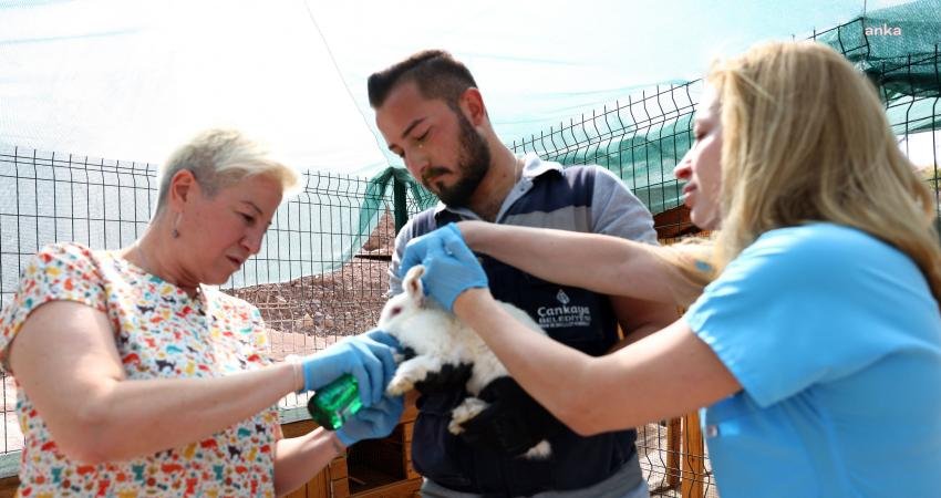 Ankara’nın 750 dönüm büyüklüğündeki en büyük parkı Bademlidere Cumhuriyet Parkı,