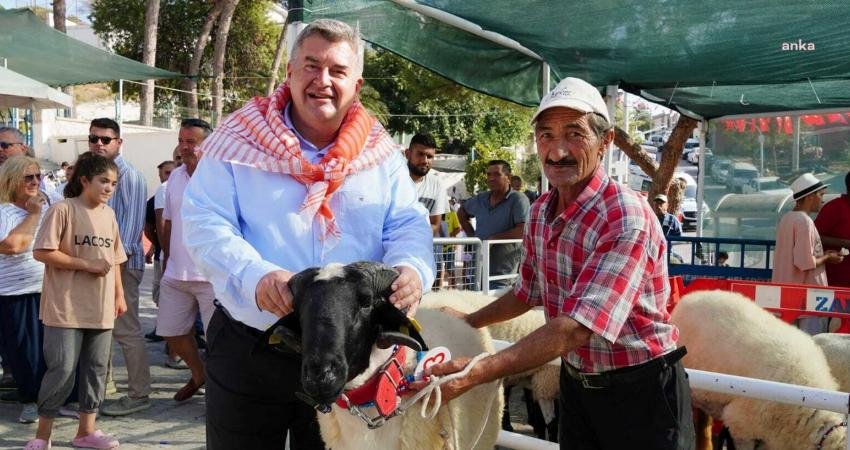 Çeşme’nin ‘En İyi Kavunu’nun ve ‘En İyi Sakız Koyunu’nun seçileceği