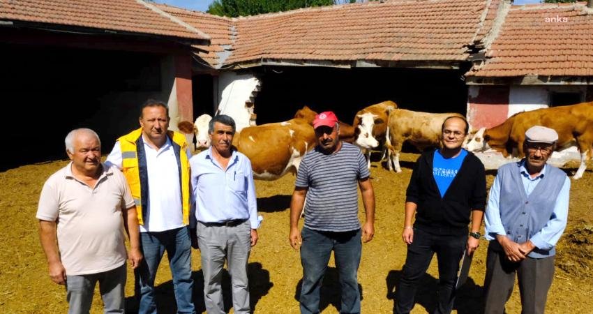 Eskişehir Büyükşehir Belediyesi, “Damızlık Boğa Desteği” çalışması kapsamında Sivrihisar ilçesinin
