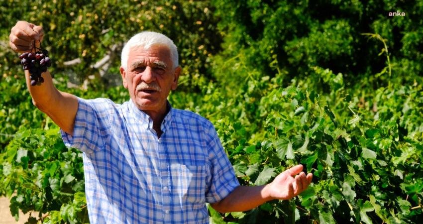 Eskişehir Büyükşehir Belediyesi’nin 3 kırsal ilçede bin çiftçiye 50 bin